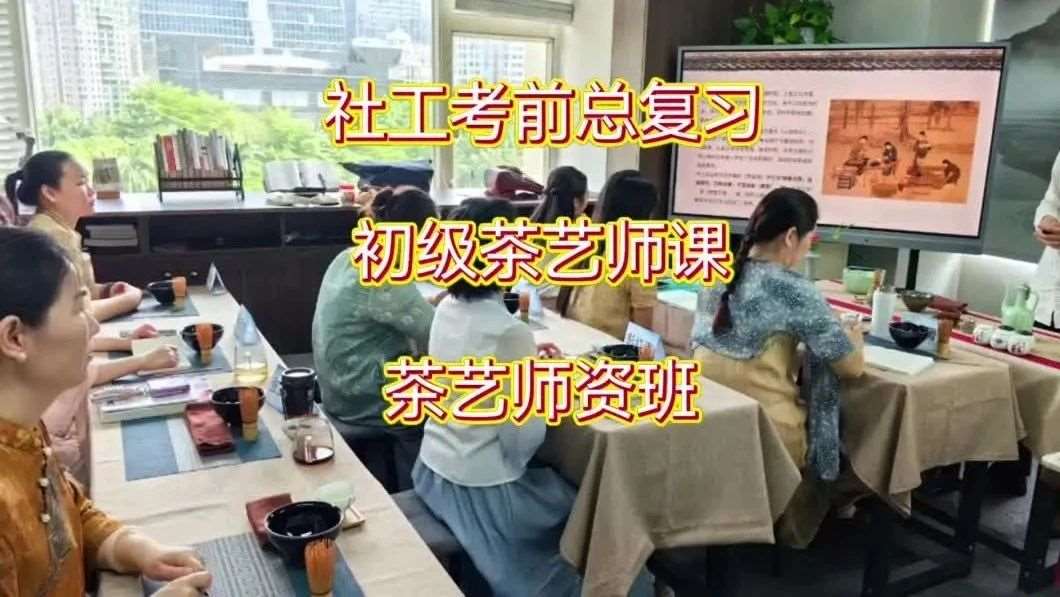 学茶艺/冲社工/当导师，点击查看你的成长方向